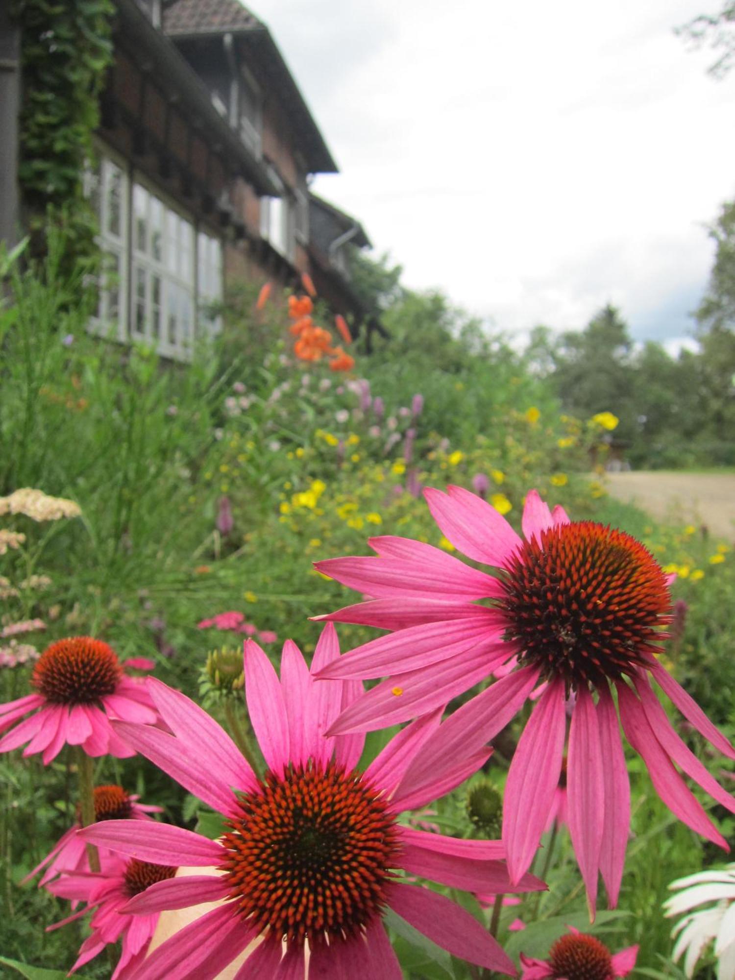 비스핑엔 Haus Heidetal B&B 외부 사진
