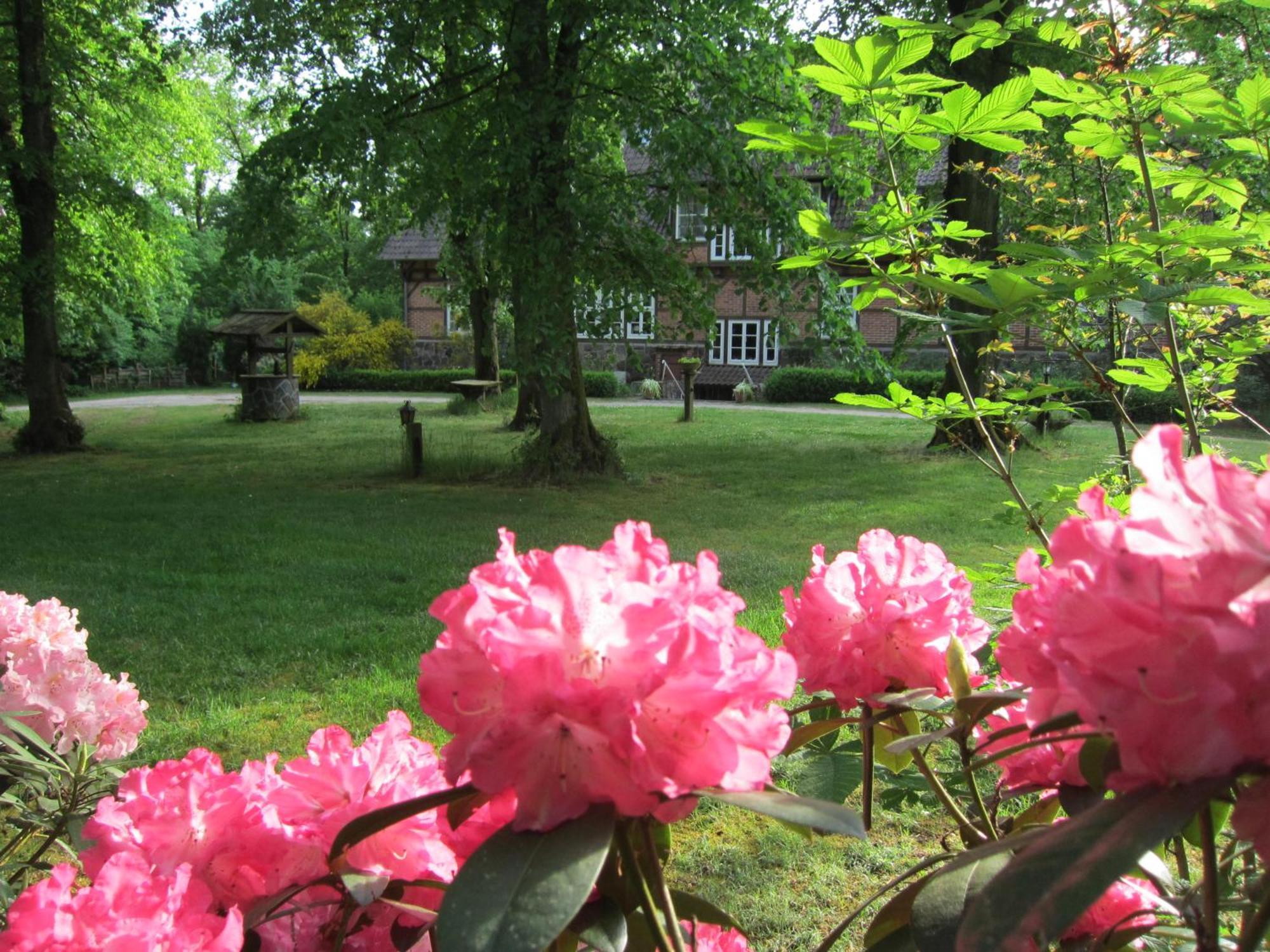 비스핑엔 Haus Heidetal B&B 외부 사진