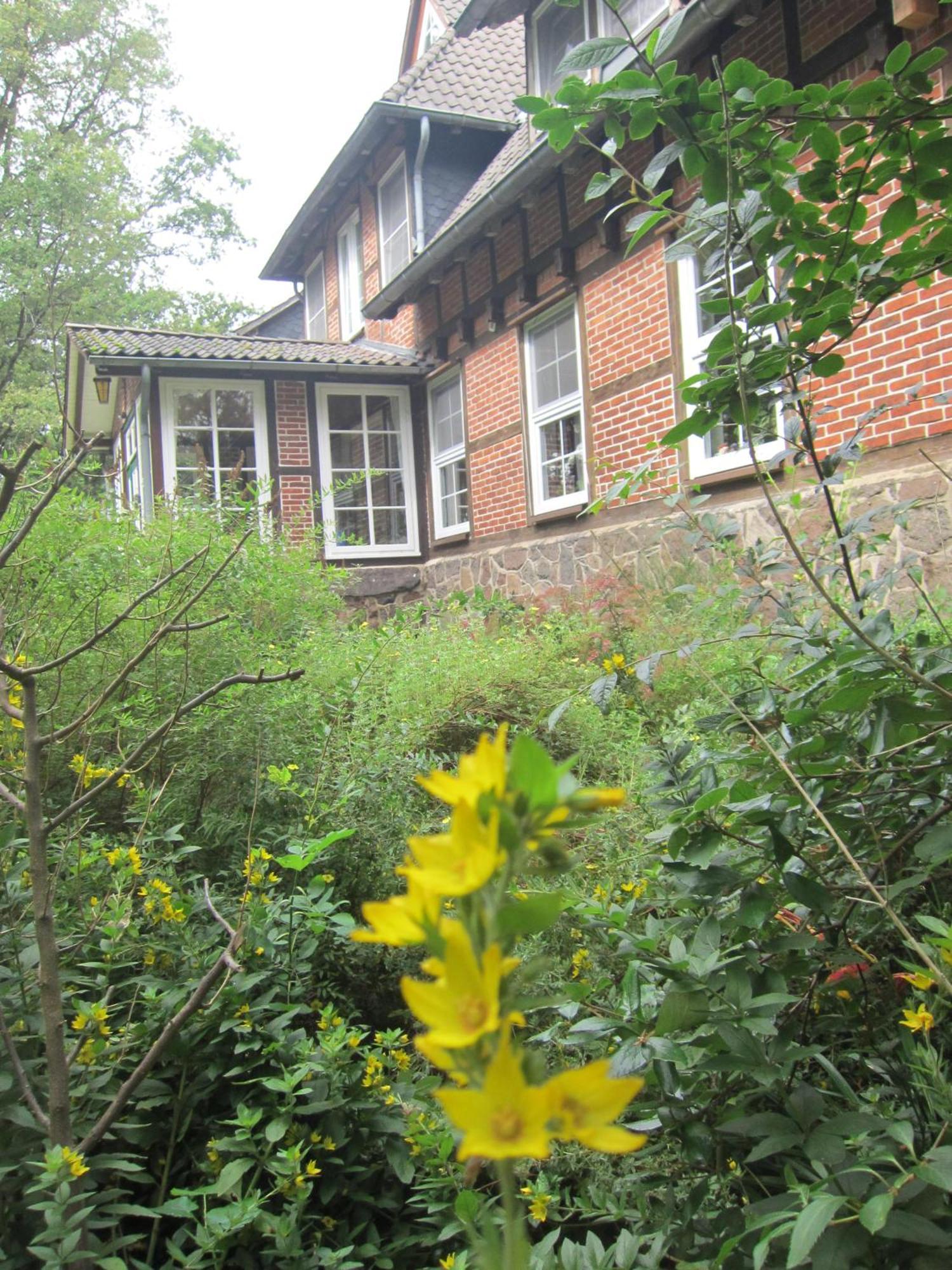 비스핑엔 Haus Heidetal B&B 외부 사진